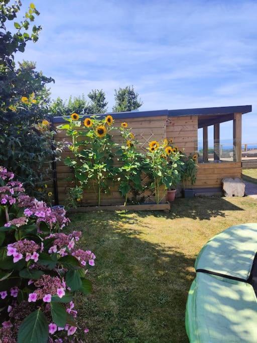 Little Swelle Cabin With Awesome Sea Views Poundstock Exterior foto